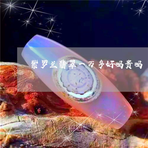 紫罗兰翡翠一万多好吗贵吗/2023071162715