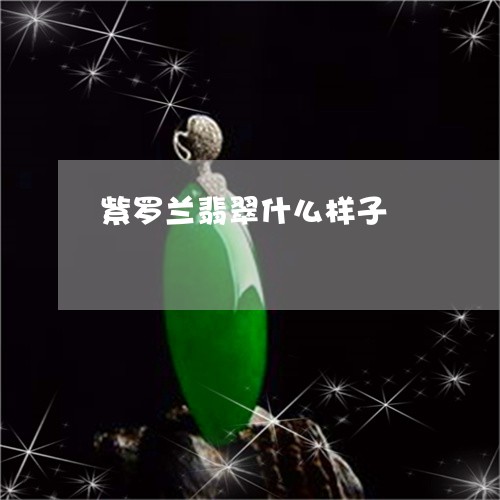 紫罗兰翡翠什么样子/2023041342625 紫罗兰翡翠什么样子/2023041342625