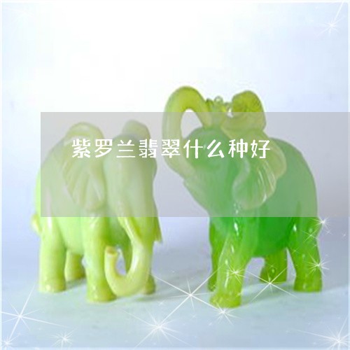 紫罗兰翡翠什么种好/2023041375179 紫罗兰翡翠什么种好/2023041375179