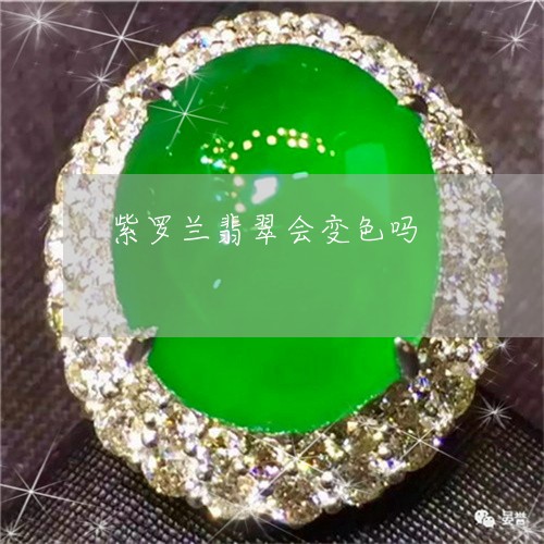 紫罗兰翡翠会变色吗/2023041371937 紫罗兰翡翠会变色吗/2023041371937