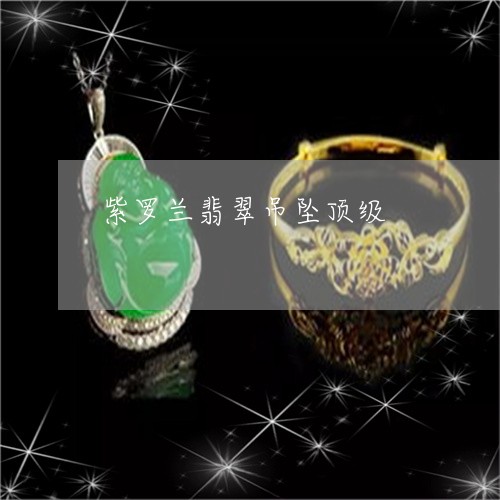 紫罗兰翡翠吊坠顶级/2023041327460 紫罗兰翡翠吊坠顶级/2023041327460