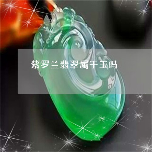 紫罗兰翡翠属于玉吗/2023041392835 紫罗兰翡翠属于玉吗/2023041392835