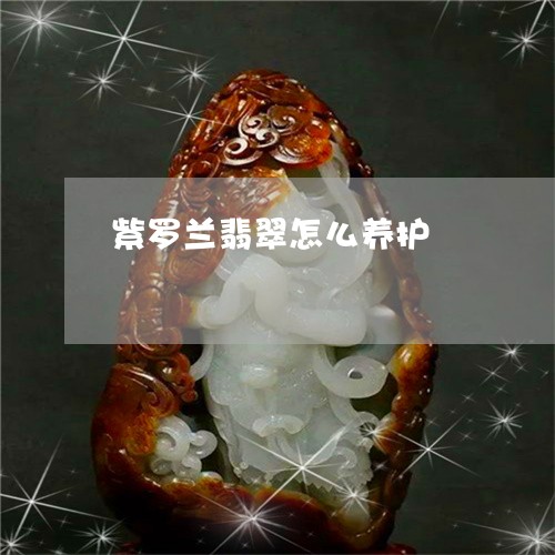 紫罗兰翡翠怎么养护/2023041375260 紫罗兰翡翠怎么养护/2023041375260