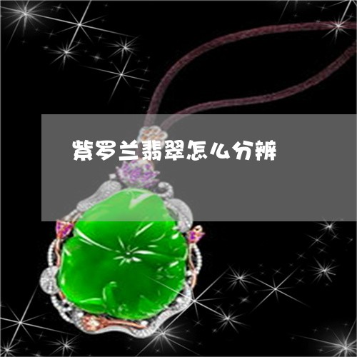 紫罗兰翡翠怎么分辨/2023041301806 紫罗兰翡翠怎么分辨/2023041301806