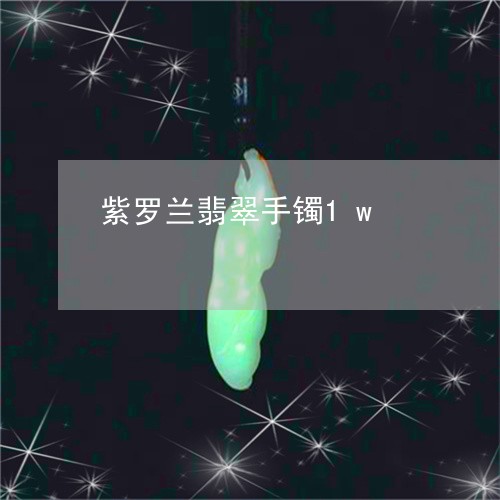 紫罗兰翡翠手镯1w/2023041319595