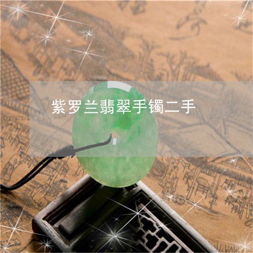 紫罗兰翡翠手镯二手/2023041329461