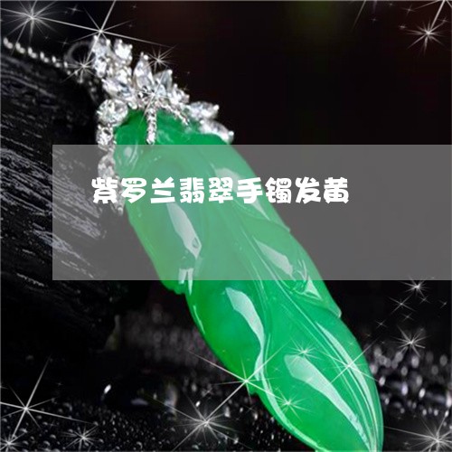 紫罗兰翡翠手镯发黄/2023041336050