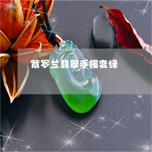 紫罗兰翡翠手镯变绿/2023041344914