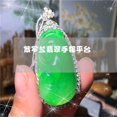 紫罗兰翡翠手镯平台/2023041357183 紫罗兰翡翠手镯平台/2023041357183