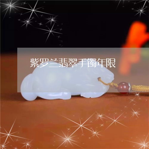 紫罗兰翡翠手镯年限/2023041310595 紫罗兰翡翠手镯年限/2023041310595