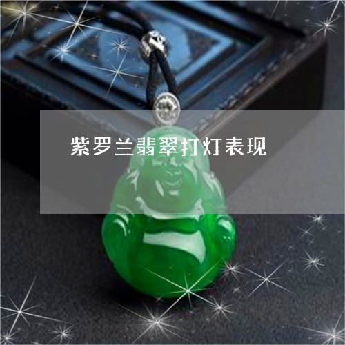 紫罗兰翡翠打灯表现/2023041330724