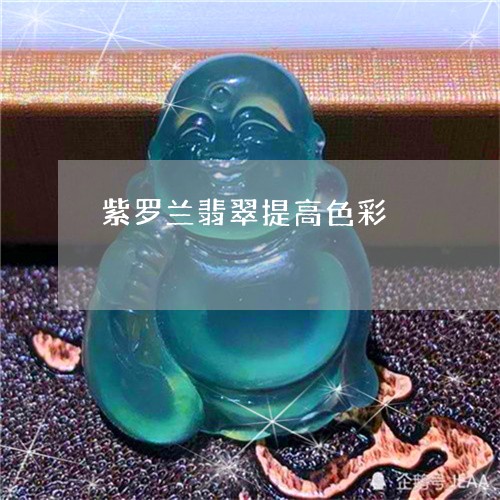 紫罗兰翡翠提高色彩/2023041371838 紫罗兰翡翠提高色彩/2023041371838