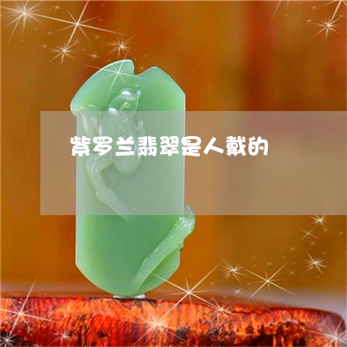紫罗兰翡翠是人戴的/2023041314037 紫罗兰翡翠是人戴的/2023041314037