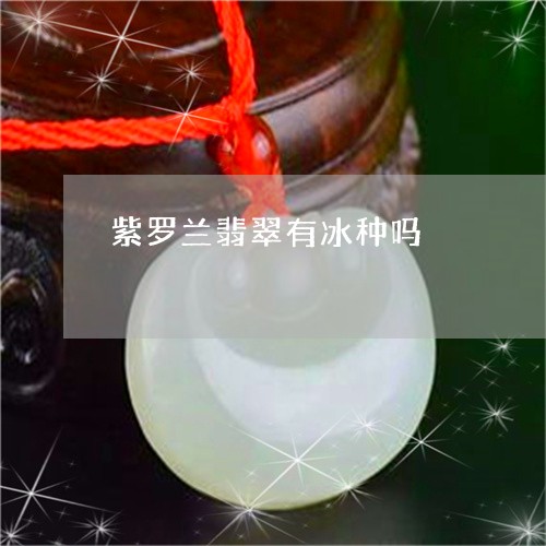 紫罗兰翡翠有冰种吗/2023041366181 紫罗兰翡翠有冰种吗/2023041366181