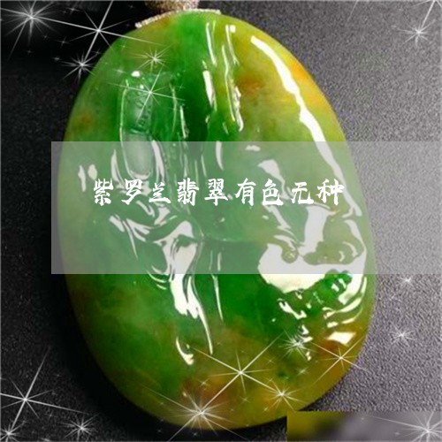 紫罗兰翡翠有色无种/2023041320473