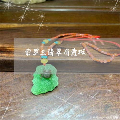 紫罗兰翡翠有黄斑/2023031532049