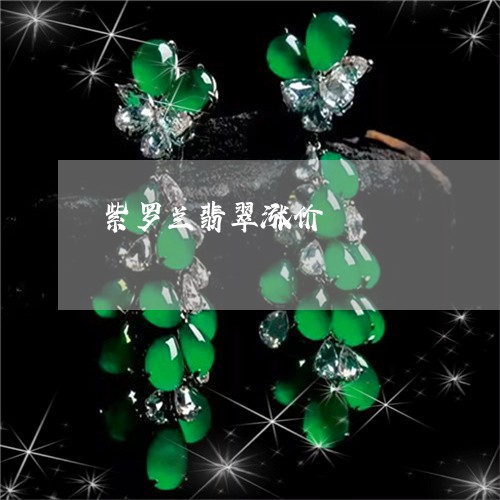 紫罗兰翡翠涨价/2023032816381 紫罗兰翡翠涨价/2023032816381