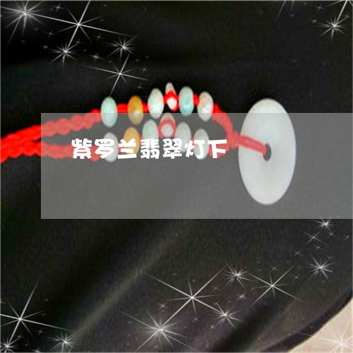紫罗兰翡翠灯下/2023032823627