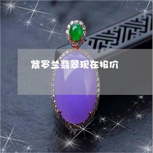 紫罗兰翡翠现在报价/2023041398460