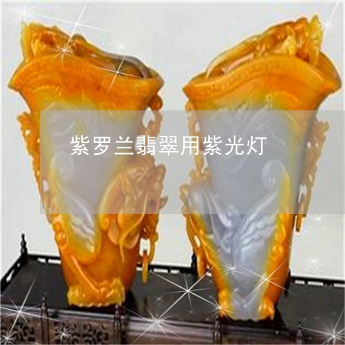 紫罗兰翡翠用紫光灯/2023041357392