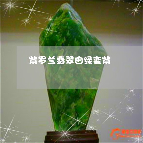 紫罗兰翡翠由绿变紫/2023041394959