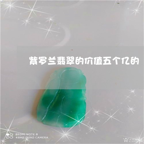 紫罗兰翡翠的价值五个亿的/2023071114140