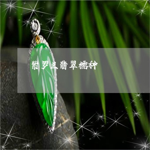 紫罗兰翡翠糯种/2023032858149