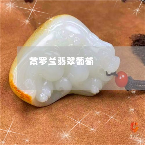 紫罗兰翡翠葡萄/2023032829160