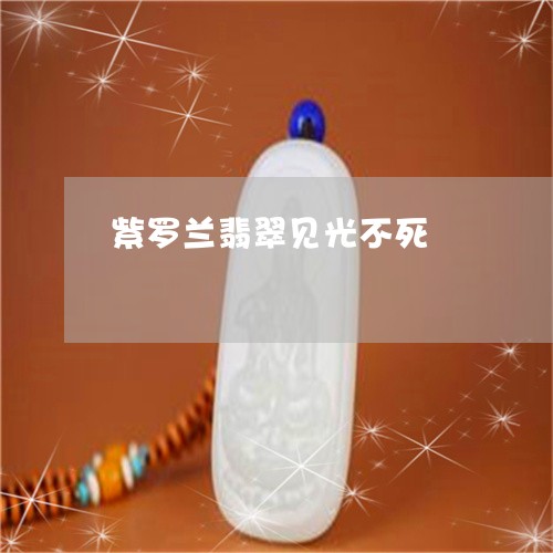 紫罗兰翡翠见光不死/2023041358383 紫罗兰翡翠见光不死/2023041358383