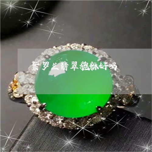 紫罗兰翡翠貔貅好吗/2023041365946 紫罗兰翡翠貔貅好吗/2023041365946