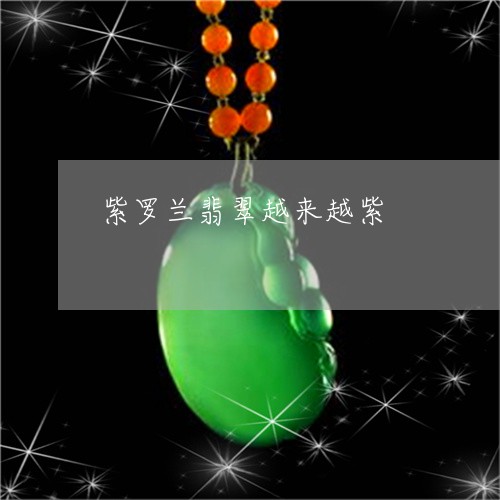 紫罗兰翡翠越来越紫/2023041321573 紫罗兰翡翠越来越紫/2023041321573