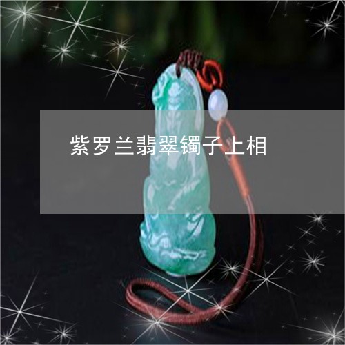 紫罗兰翡翠镯子上相/2023041395157 紫罗兰翡翠镯子上相/2023041395157