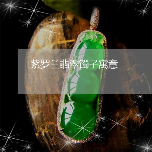 紫罗兰翡翠镯子寓意/2023041337451 紫罗兰翡翠镯子寓意/2023041337451