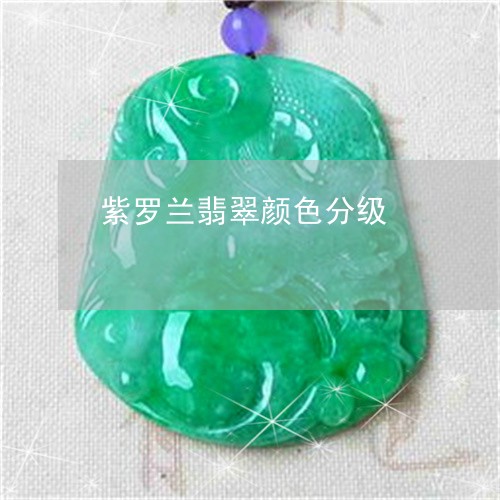 紫罗兰翡翠颜色分级/2023041397272 紫罗兰翡翠颜色分级/2023041397272
