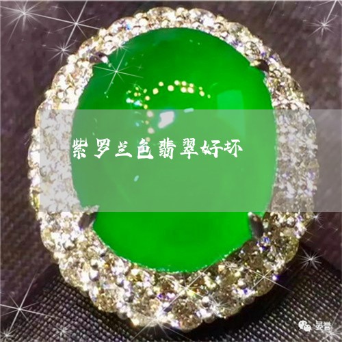 紫罗兰色翡翠好坏/2023031575150
