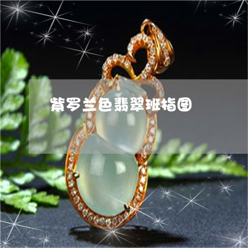 紫罗兰色翡翠班指图/2023041339381 紫罗兰色翡翠班指图/2023041339381