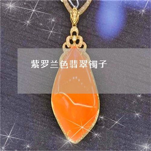紫罗兰色翡翠镯子/2023031541813
