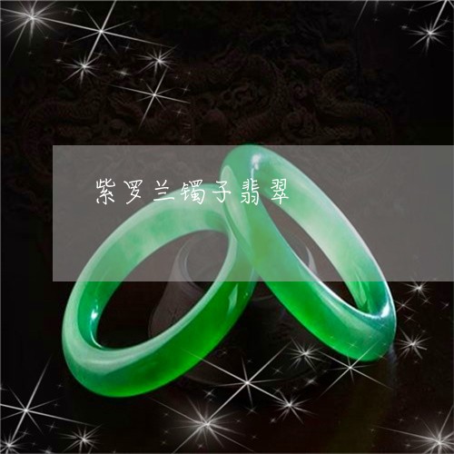 紫罗兰镯子翡翠/2023032815937 紫罗兰镯子翡翠/2023032815937