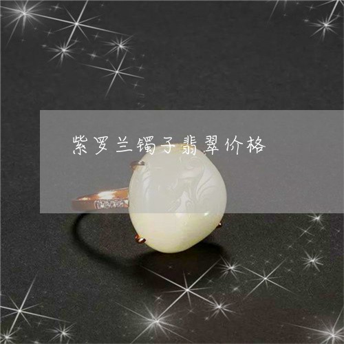 紫罗兰镯子翡翠价格/2023041341626 紫罗兰镯子翡翠价格/2023041341626