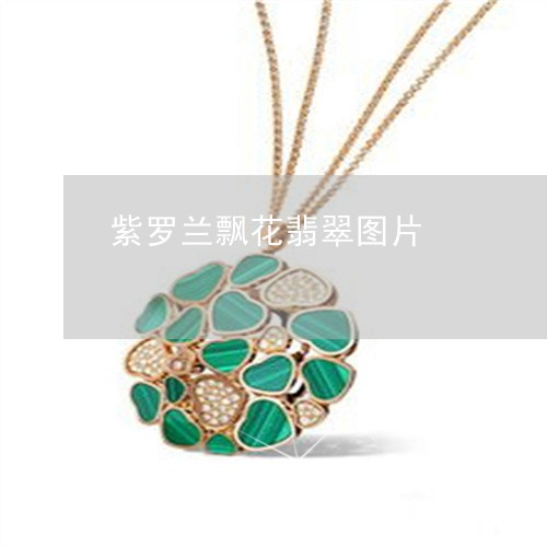 紫罗兰飘花翡翠图片/2023041319693