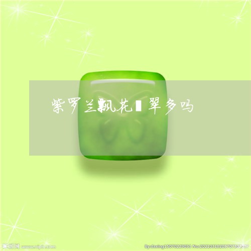 紫罗兰飘花翡翠多吗/2023041336059