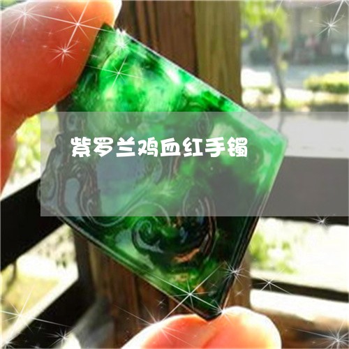 紫罗兰鸡血红手镯/2023031565048