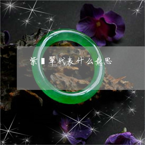 紫翡翠代表什么意思/2023041354047 紫翡翠代表什么意思/2023041354047