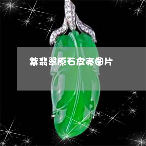 紫翡翠原石皮壳图片/2023041372834