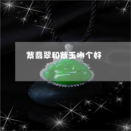 紫翡翠和紫玉哪个好/2023041342826