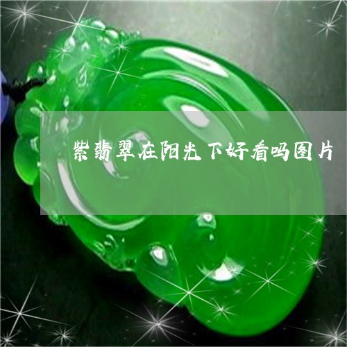 紫翡翠在阳光下好看吗图片/2023071169361