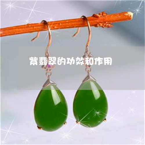 紫翡翠的功效和作用/2023041217472