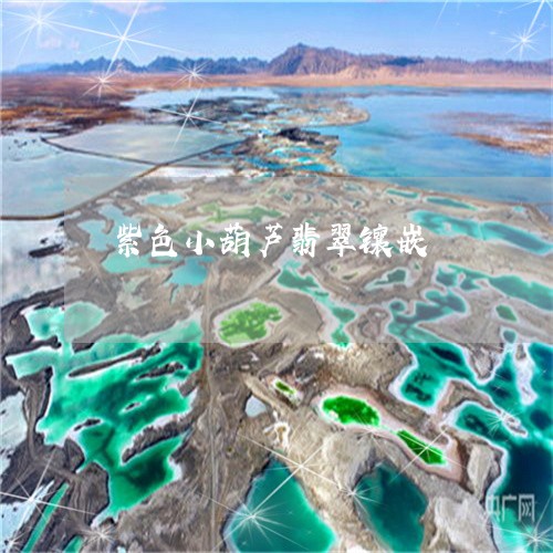 紫色小葫芦翡翠镶嵌/2023041273939