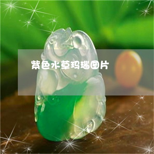 紫色水草玛瑙图片/2023031559482 紫色水草玛瑙图片/2023031559482