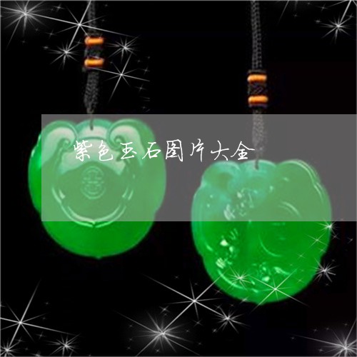 紫色玉石图片大全/2023031508259 紫色玉石图片大全/2023031508259